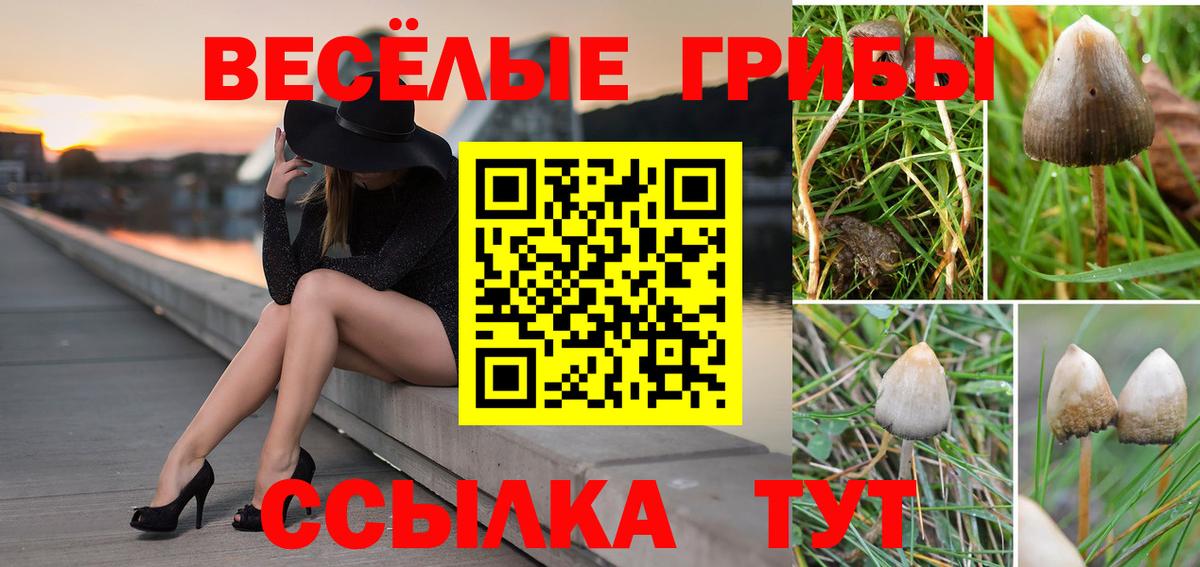 Мирный  Галлюциногенные грибы прущие грибы  Вход с VPN  Галлюциногенные грибы ЛСД 